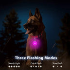 Usb Charging Glowing Dog Collar