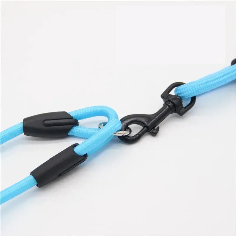 Leashes for 2 smaller Dogs