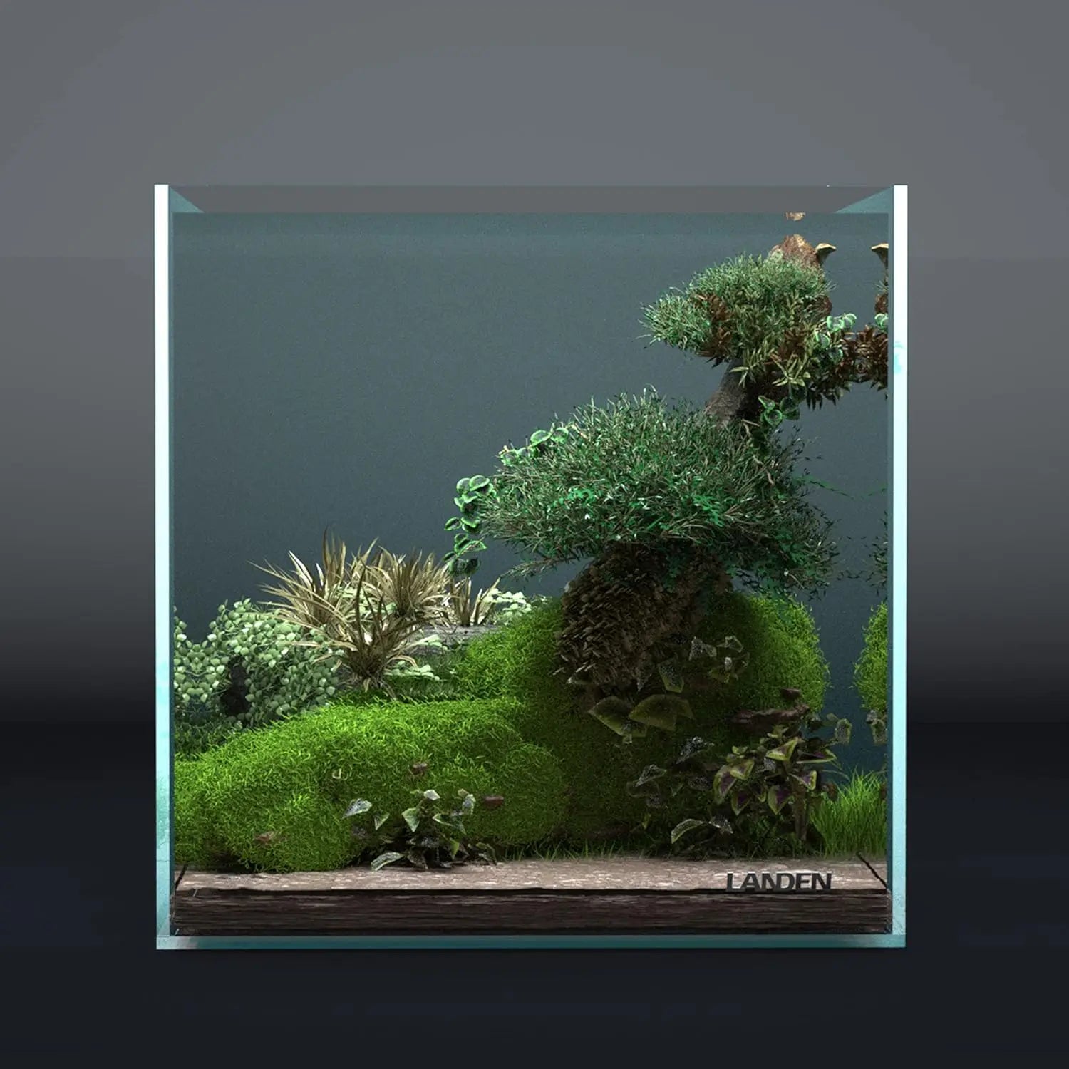 Rimless Aquarium Tank, 6.6 Gal.