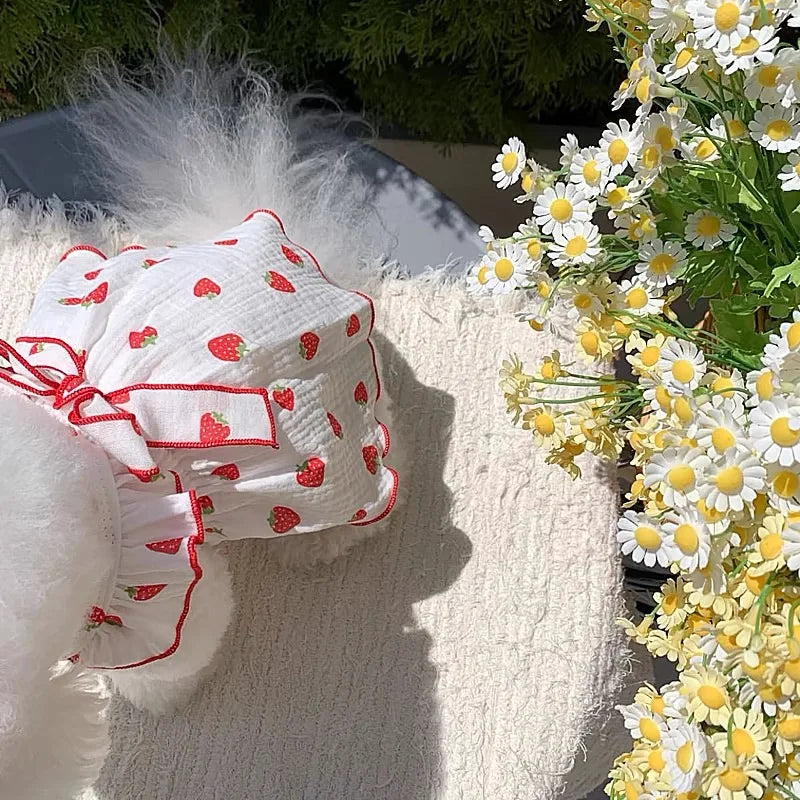 Strawberry Print Pet Dog Dress
