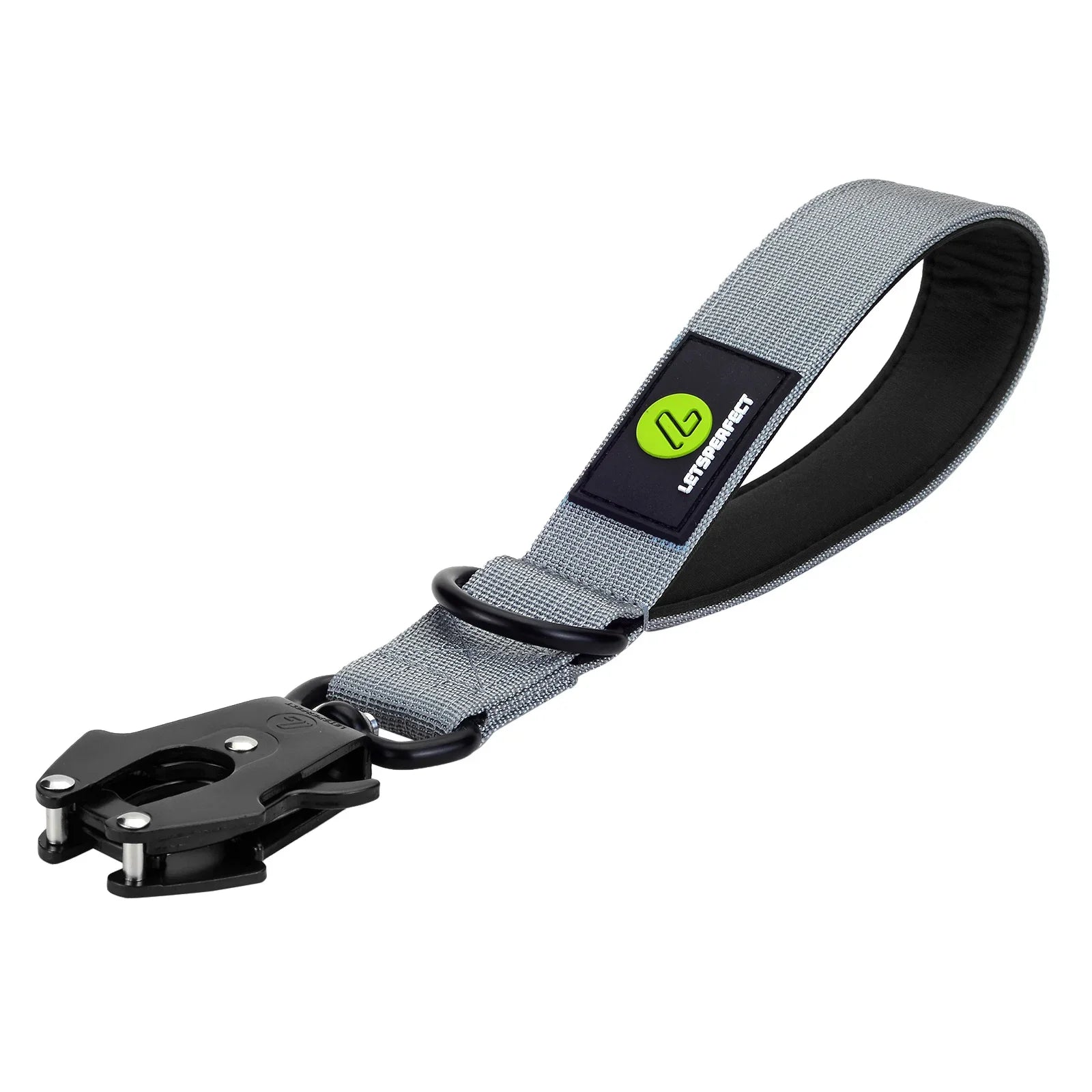 Short Dog Leash Traffic