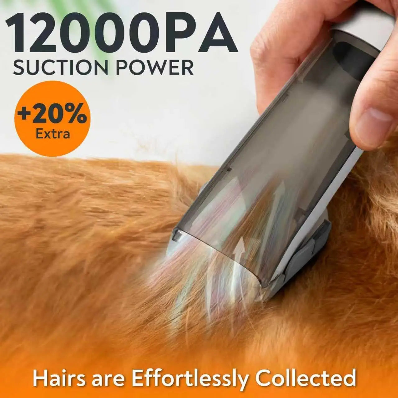 Vacuum for Dogs/Cats with Clippers
