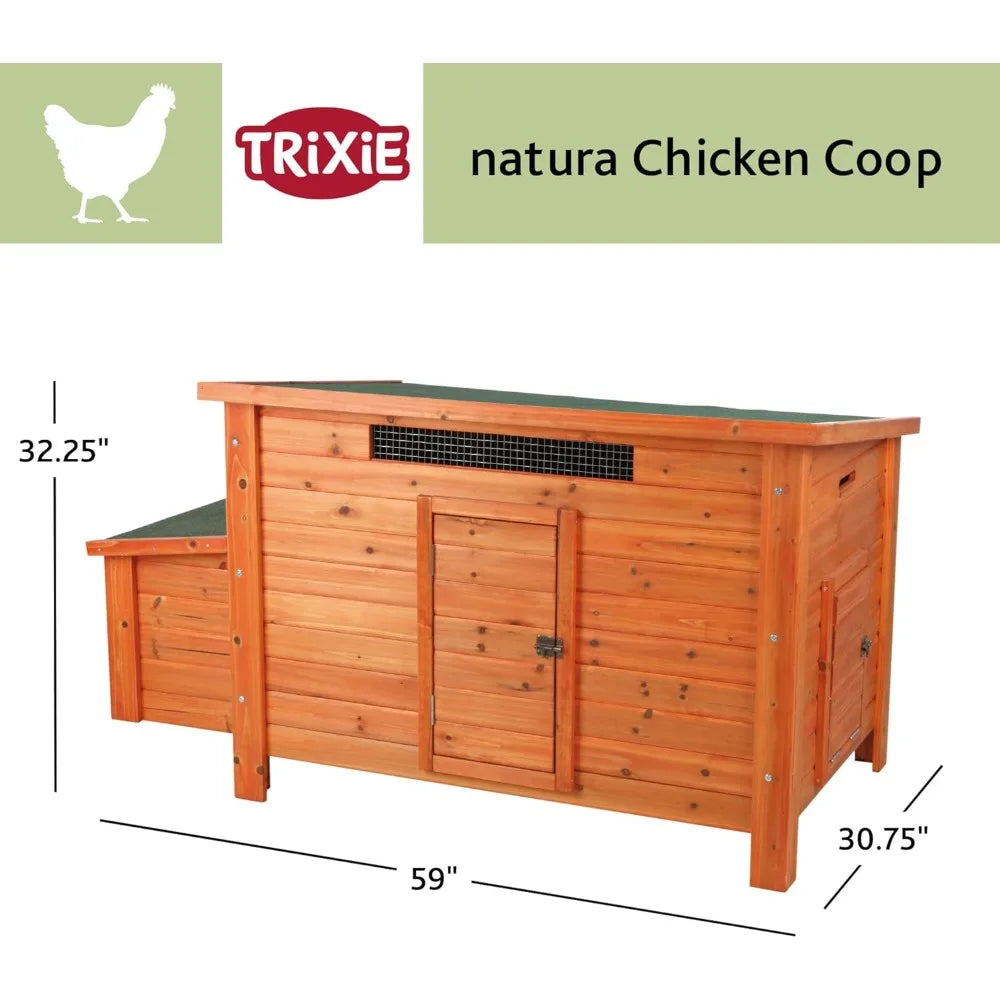 Chicken Coop