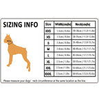 Dog Walking Collar with Buckle