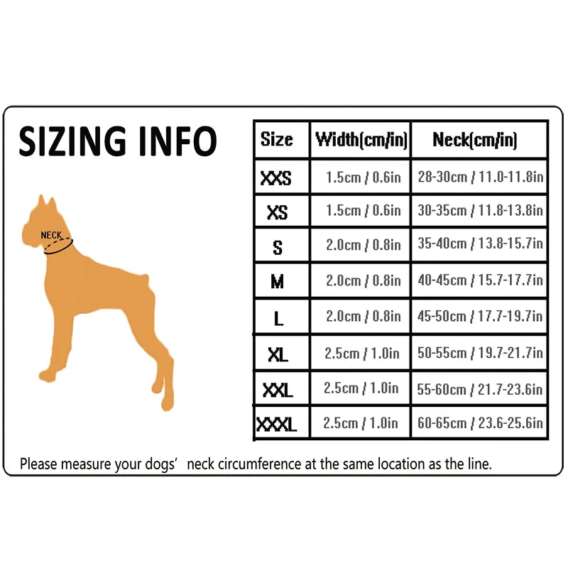 Dog Walking Collar with Buckle