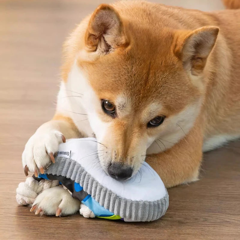 Dog Squeak Toy