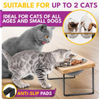 Elevated Cat Bowls Set of 2