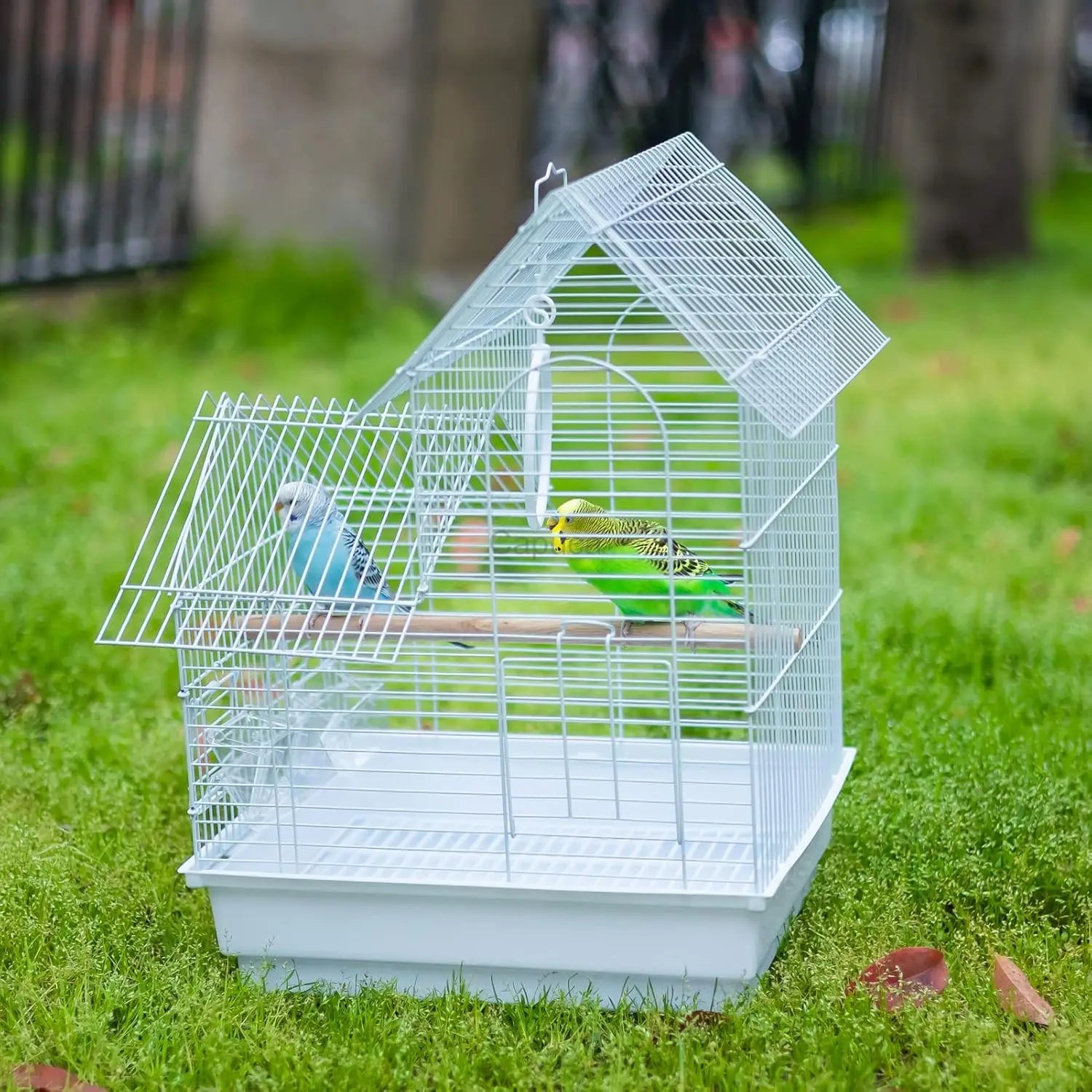 Small Bird Travel Cage
