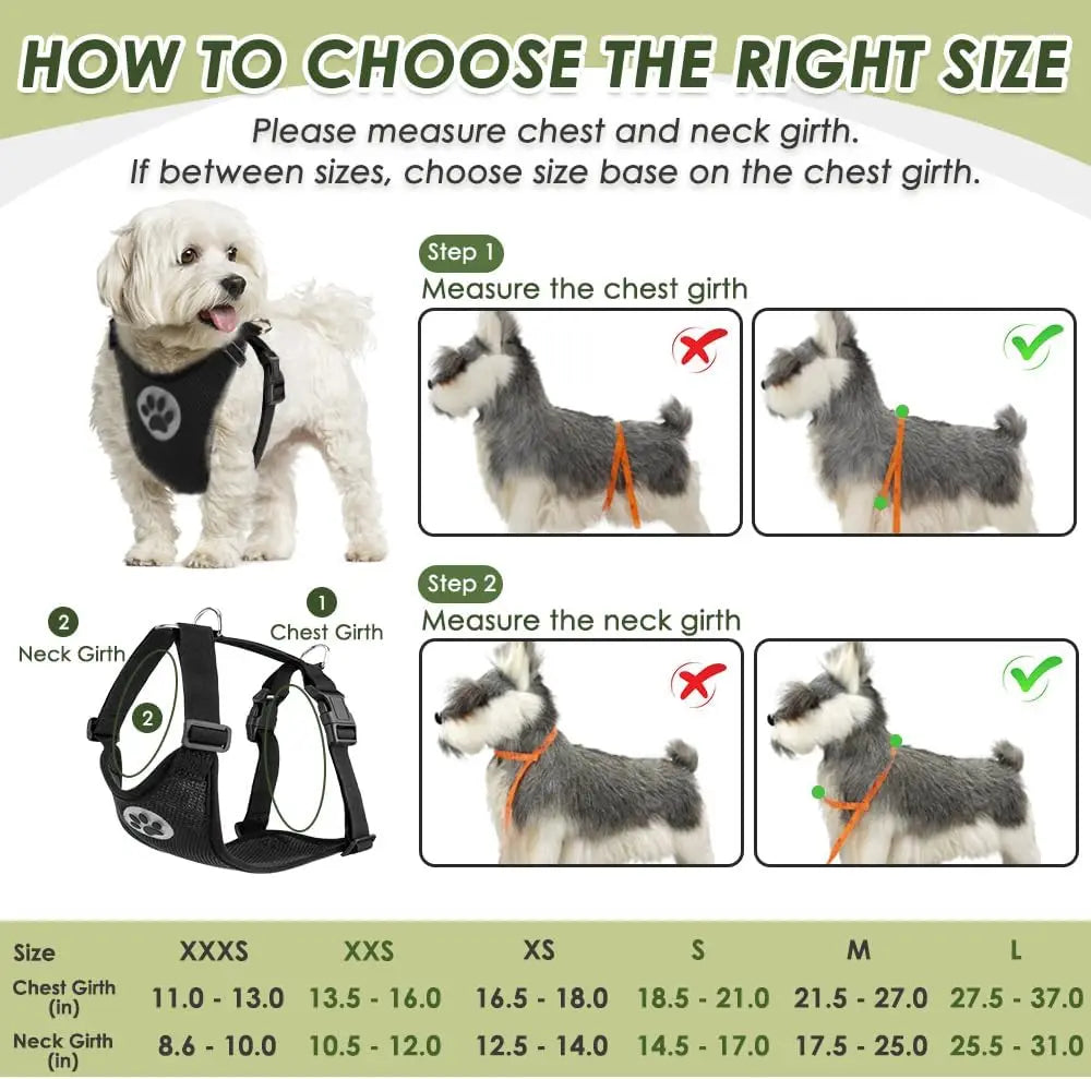 Dog Car Harness