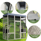 Cat Enclosure
