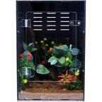 Reptile Enclosure/Crested Gecko