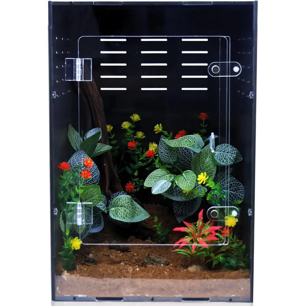 Reptile Enclosure/Crested Gecko