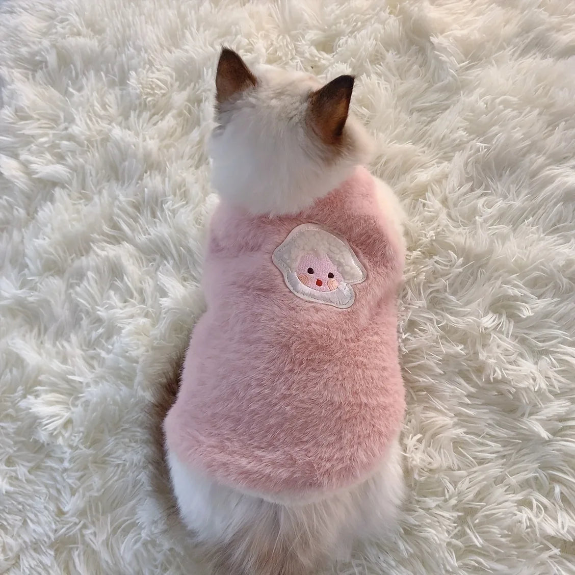 Cats Warm Kittens Clothes