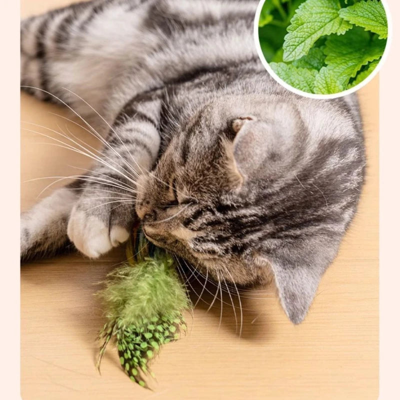Birds Toy for Cat Chasing