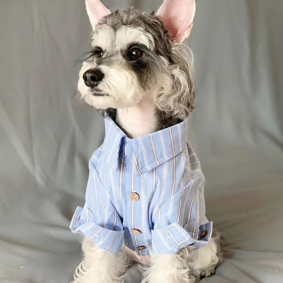 Pet Puppy Cat Thin Striped Shirt