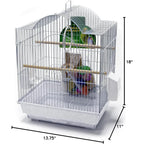 Small Bird Starter Kit