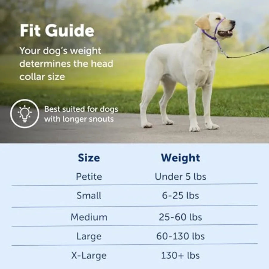 Leader Pull Head Collar