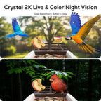 Bird Feeder with Camera
