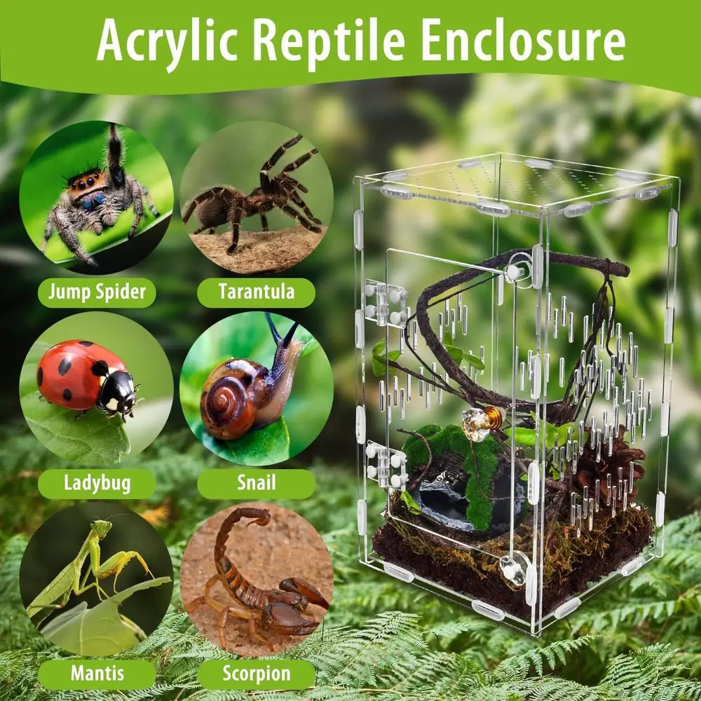 Ventilated Insect Terrarium