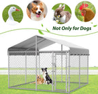 Extra Large Kennel with Roof