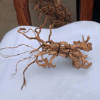 Aquarium Micro Landscape Driftwood