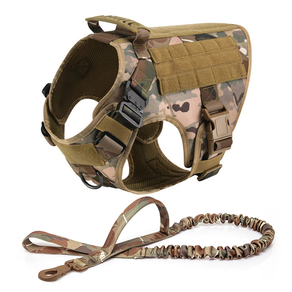 Large Dog Harness/Leash Set