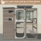 Large Cat Enclosure