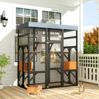 Large Cat Enclosure