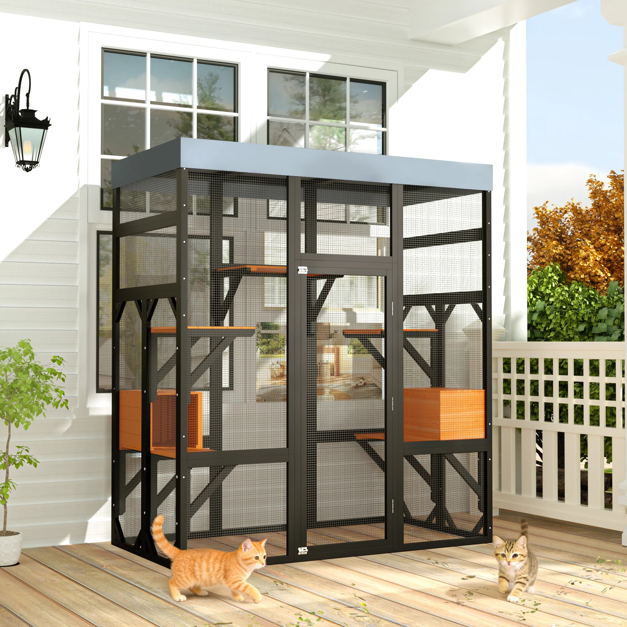 Large Cat Enclosure