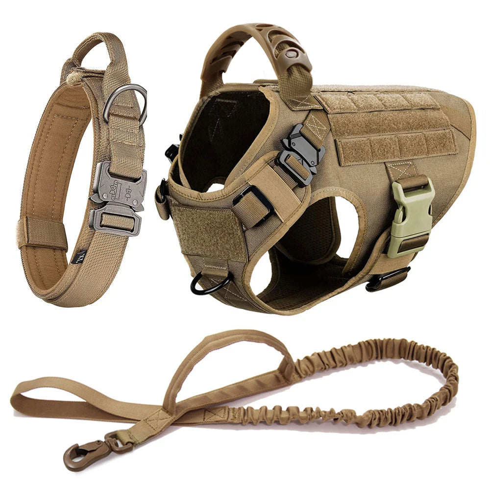 Large Dog Harness/Leash Set