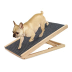 Pet Dog Ramp
