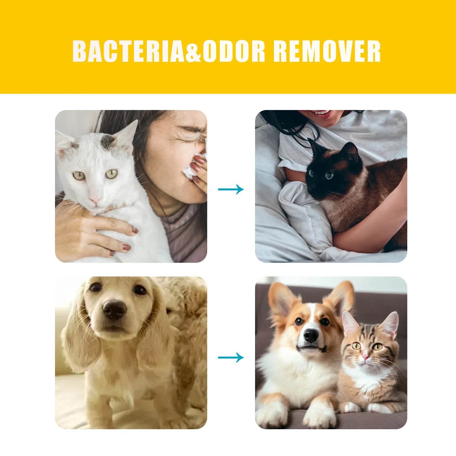 Pet deodorant spray cat litter
