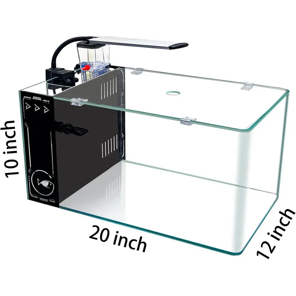Curved Corner Saltwater Aquarium Rimless