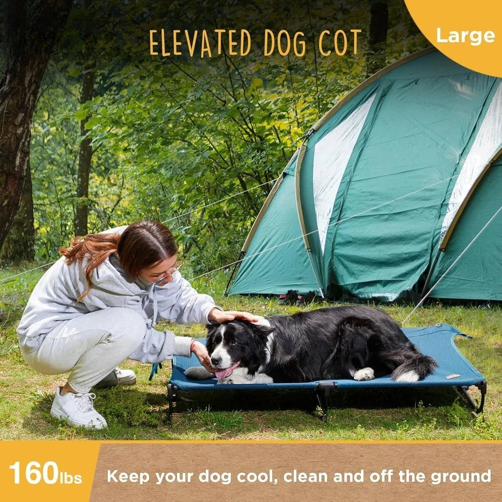 Folding Raised Dog Bed