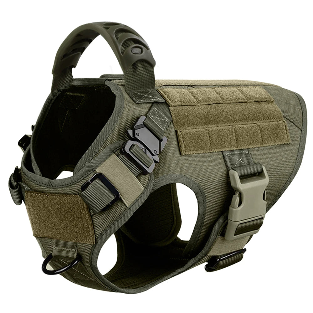 Large Dog Harness/Leash Set