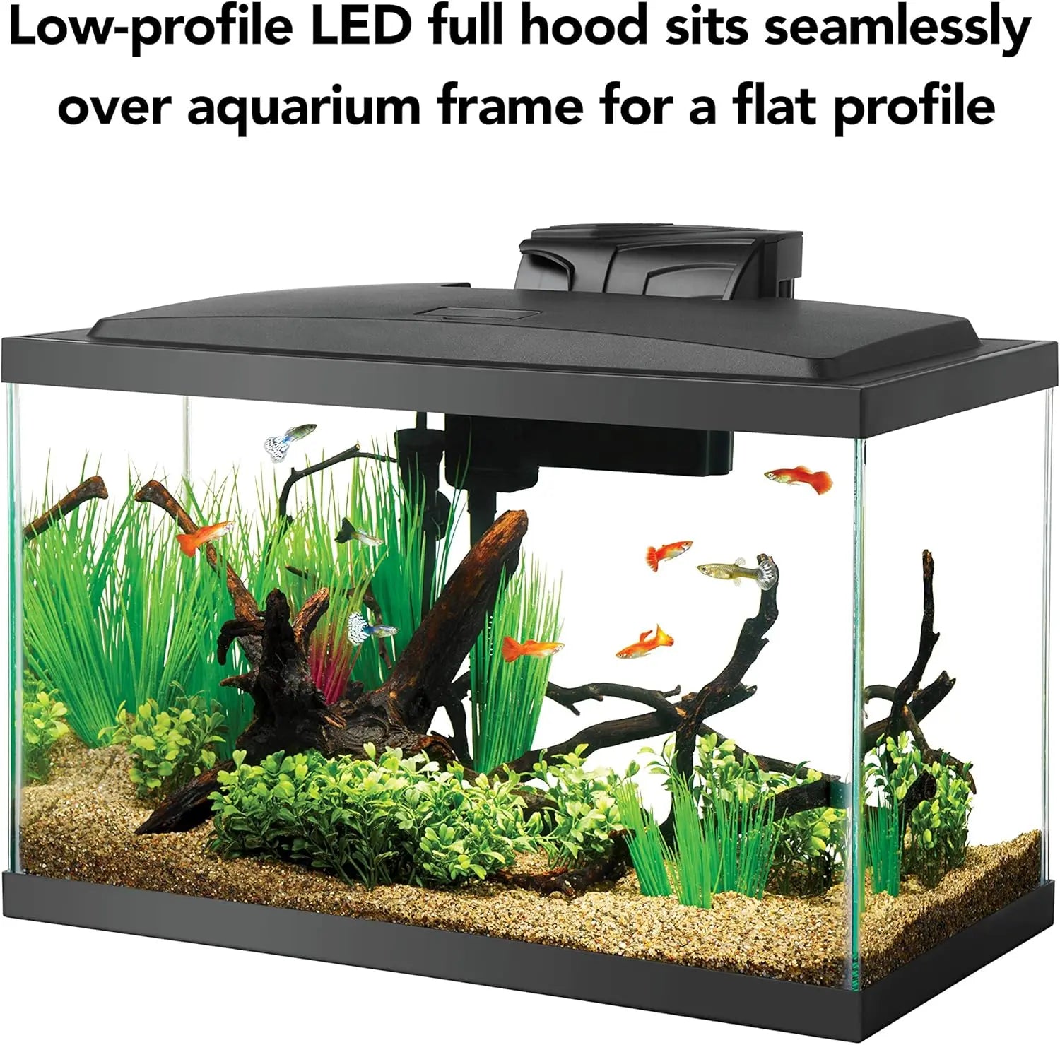 Complete 10 Gallon Aquarium Starter Kit