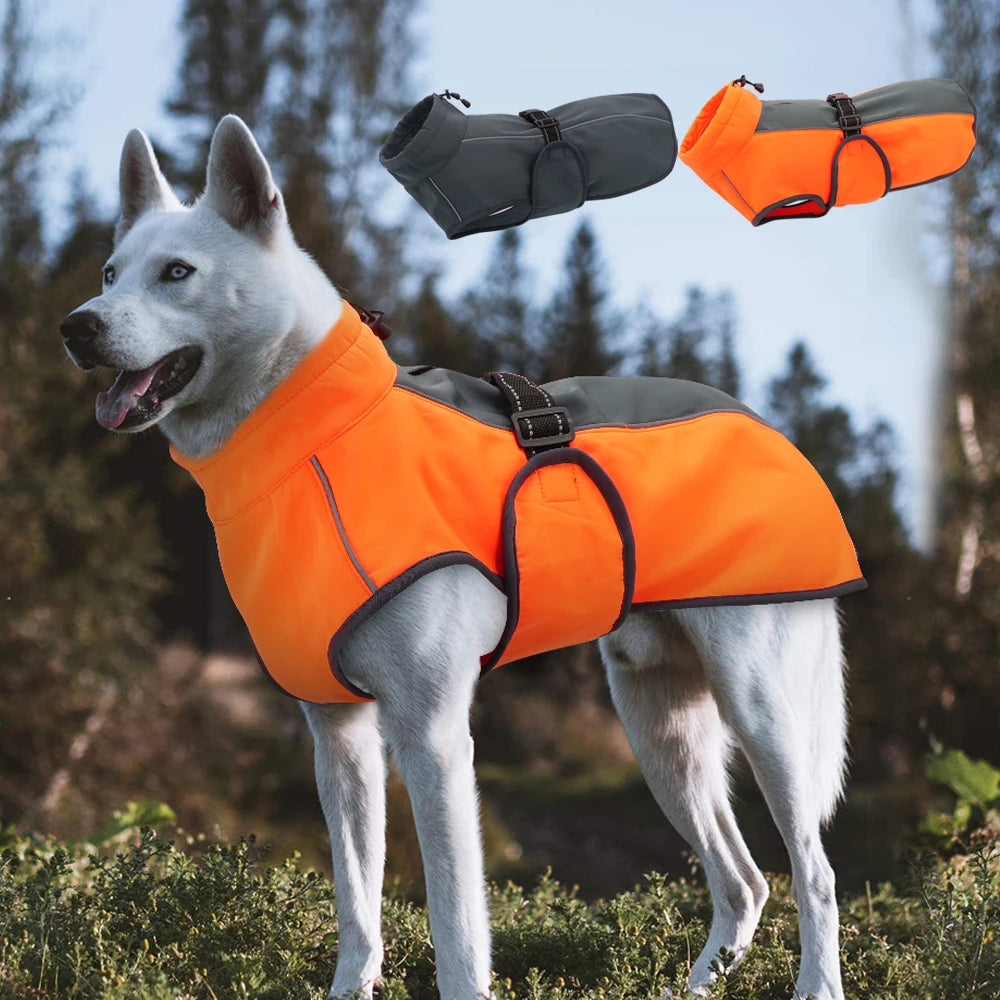 Warm Big Dog Clothes