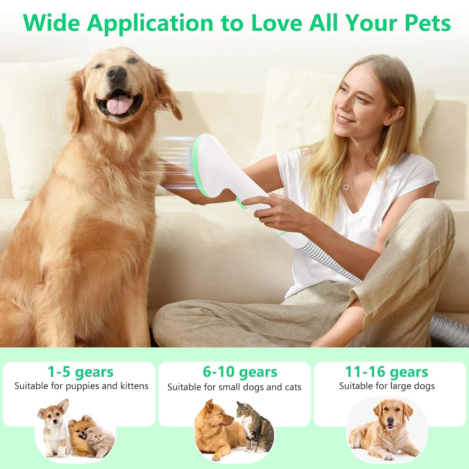 Professional Quiet Dog Grooming
