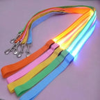 Flashing Leash Leash Rope