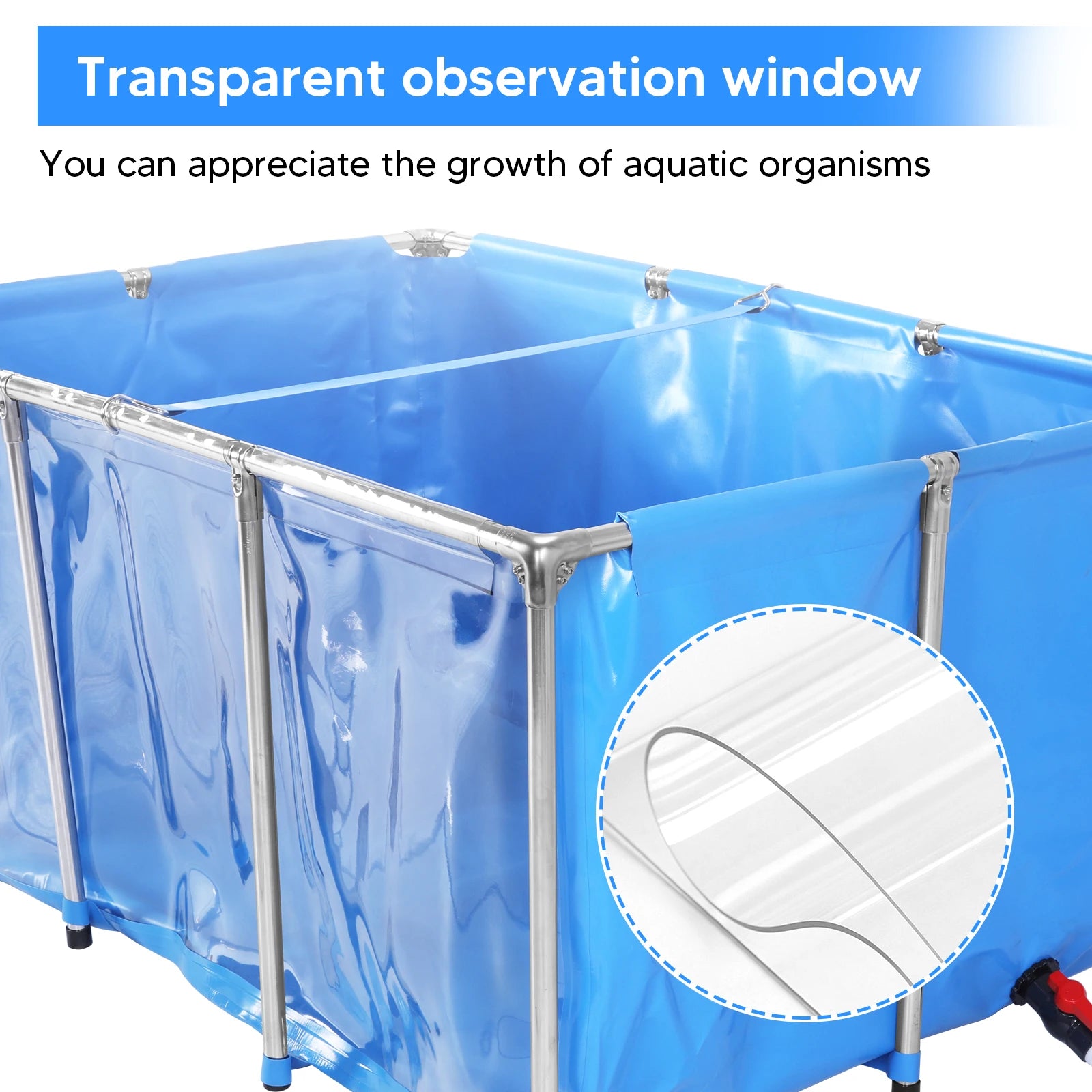Above Ground Fish Tank