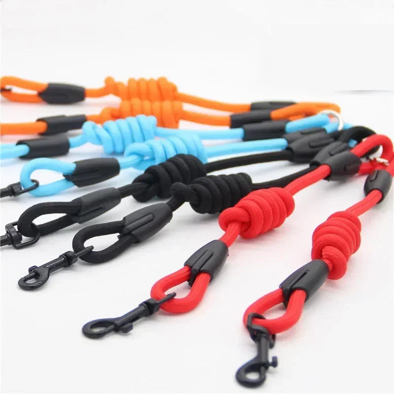 Leashes for 2 smaller Dogs