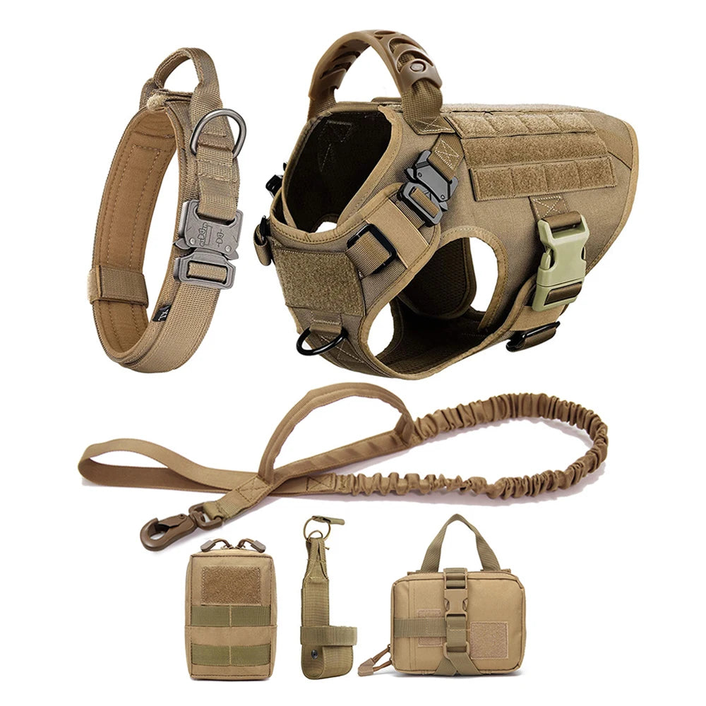 Large Dog Harness/Leash Set