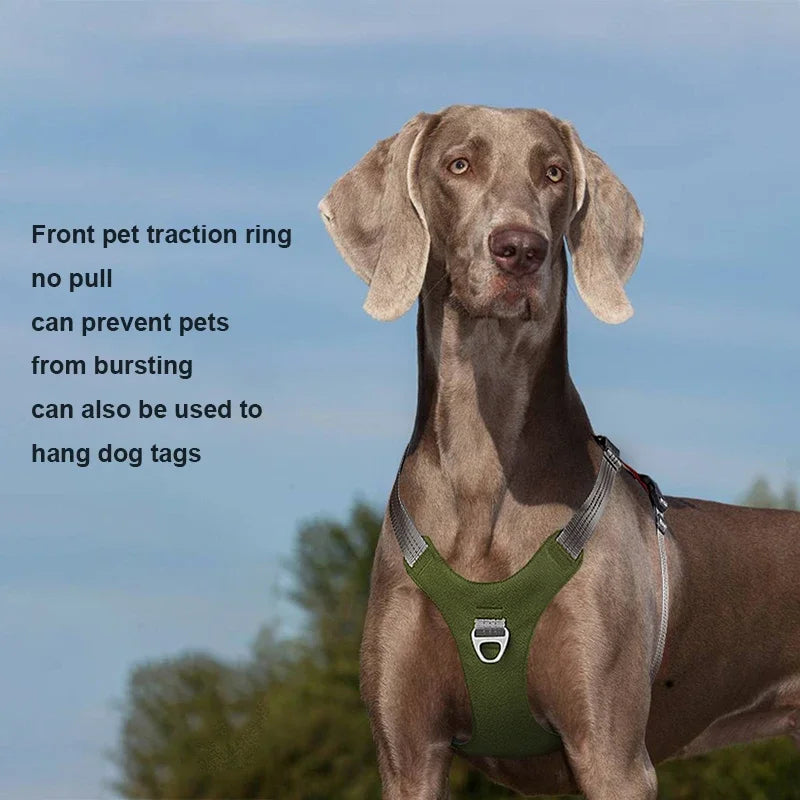 Pet Dog Harness Vest
