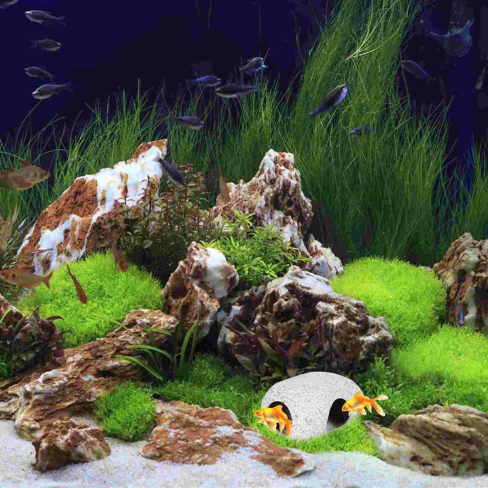 Ceramic Fish Eluding House