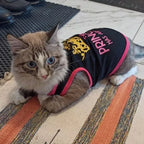 Summer Cotton Sphynx Cat T Shirt