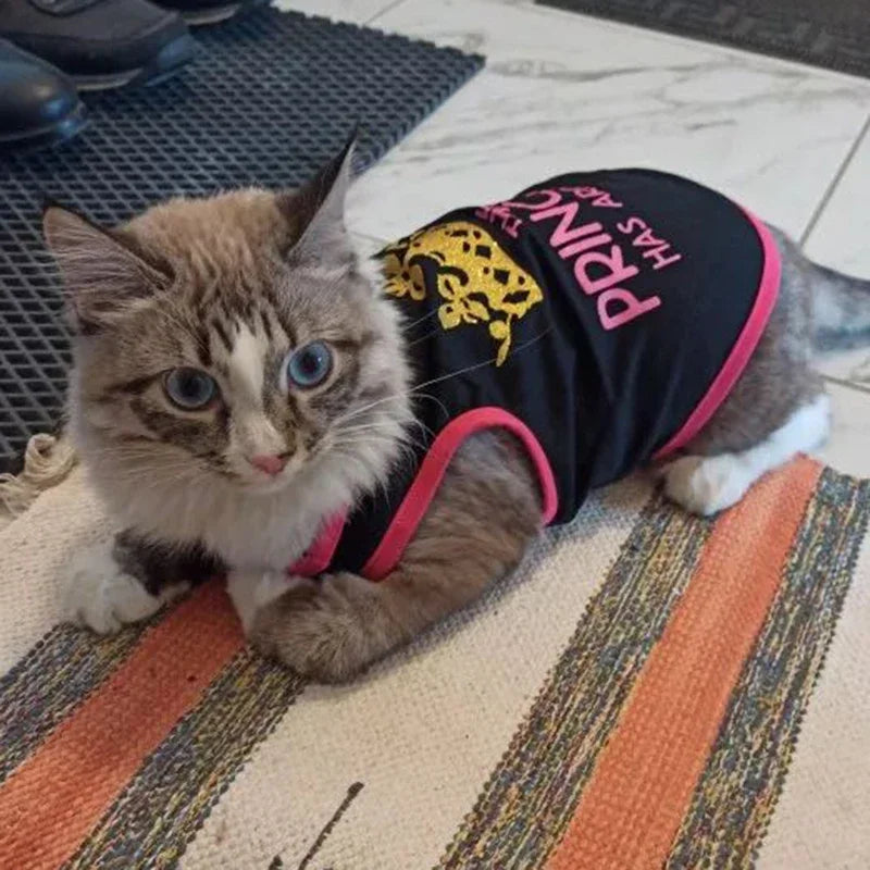 Summer Cotton Sphynx Cat T Shirt