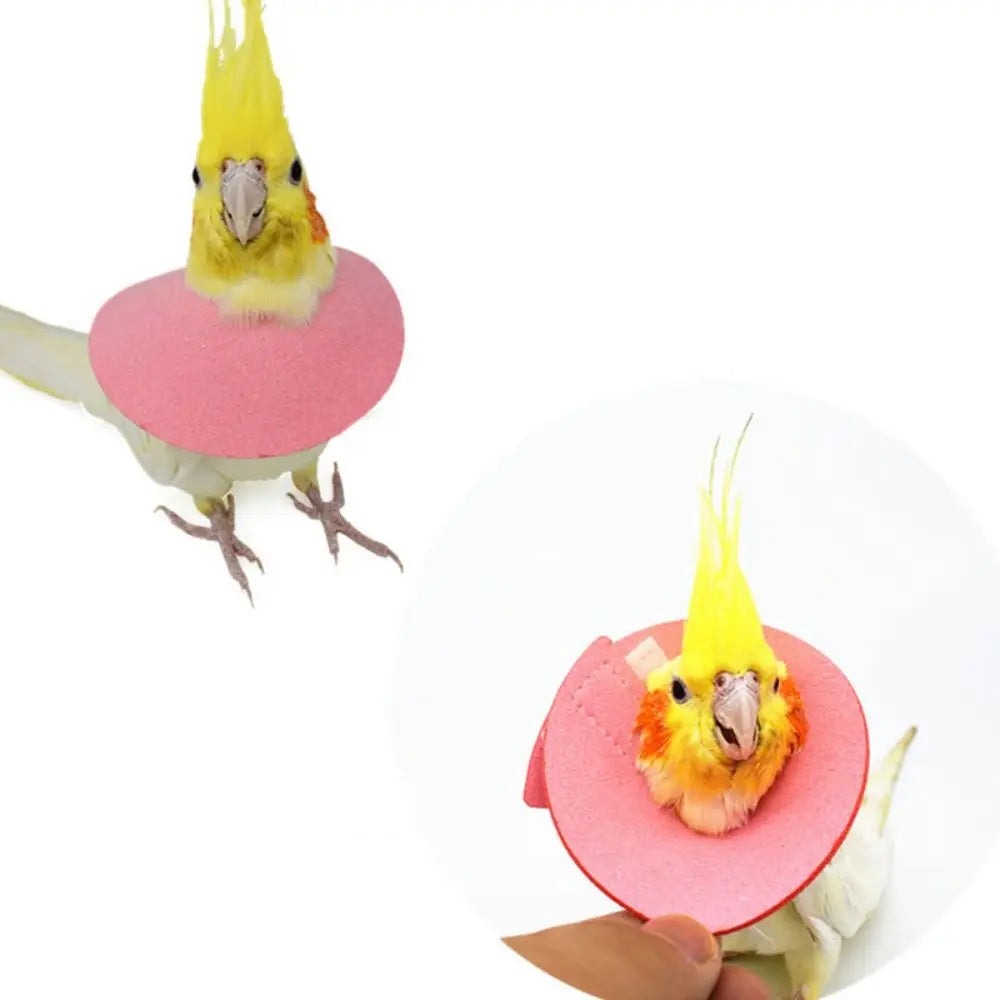 Bird Accessories Anti-bite
