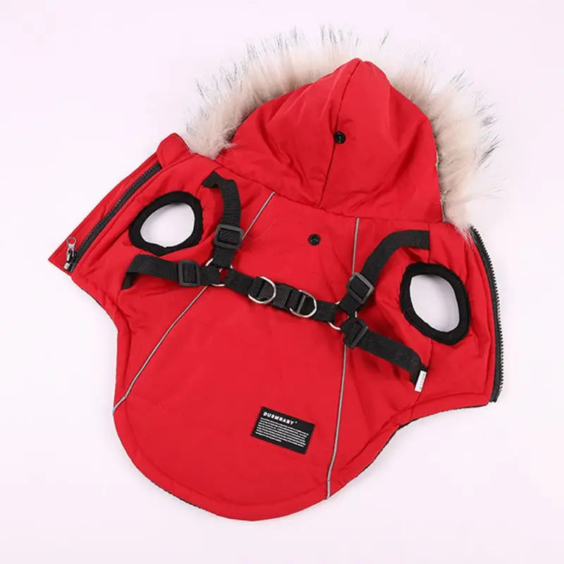 Winter Dog Jacket With Harness