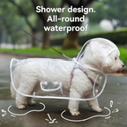 Transparent Raincoat