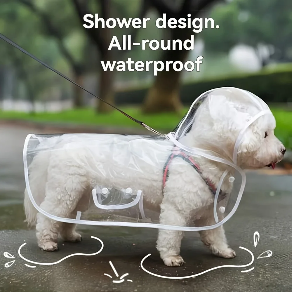 Transparent Raincoat